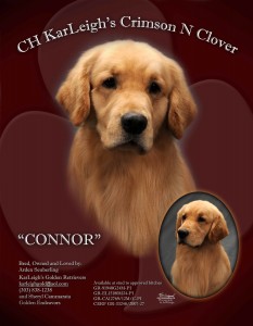 Misti's Mate-Connor Misti's Mate-Connor