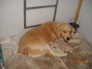 1 day old 1 day old