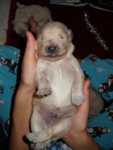 baby connor jr belly up! baby connor jr belly up!